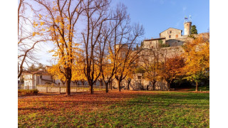 Lombardy ở miền Bắc Italy là địa điểm sở hữu những hàng dương thơ mộng khi bước vào mùa thu. 